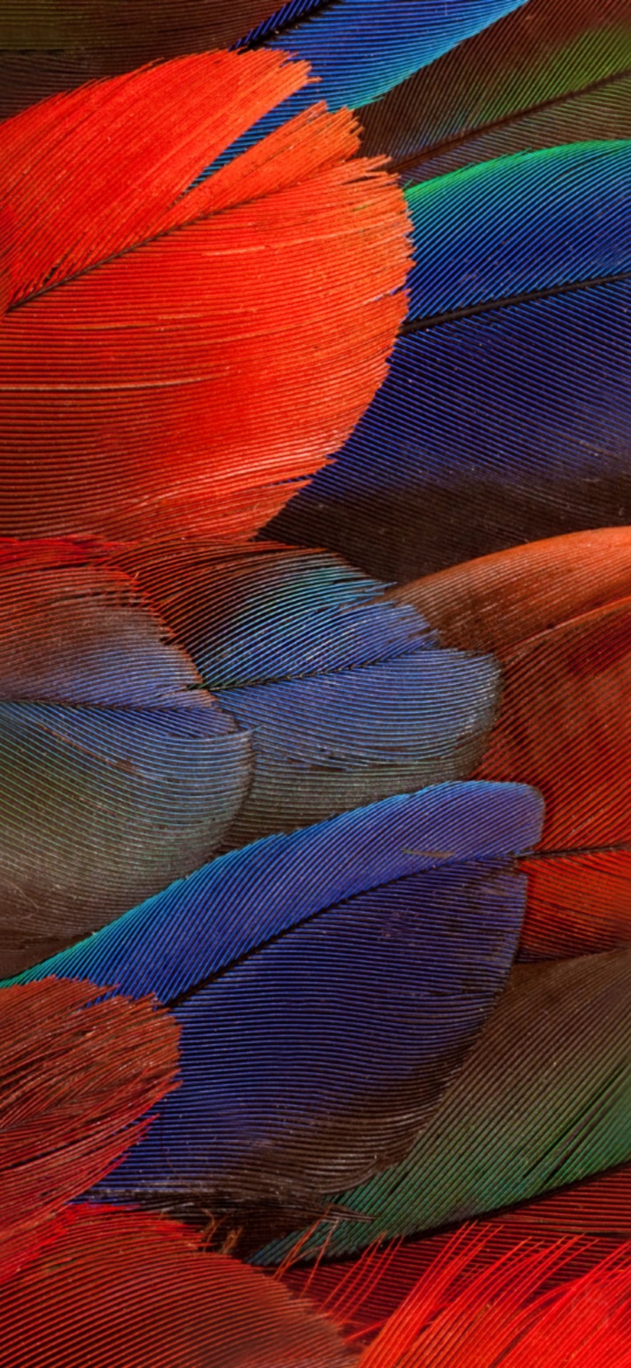 886x1920  download Huawei Porsche Design Mate 20 Wallpapers