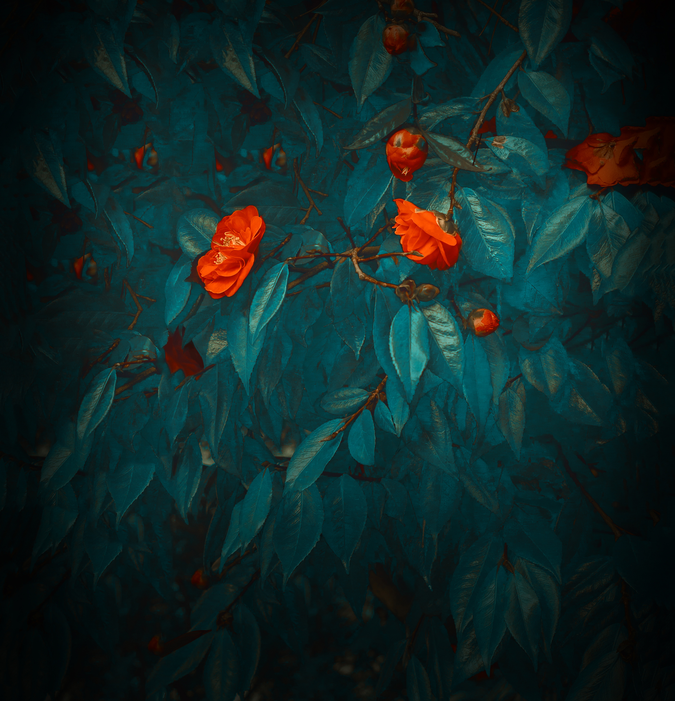 2160x2244   Huawei Mate 20 Lite Wallpaper 4k - 739x1600 Обои - Teahub.io 