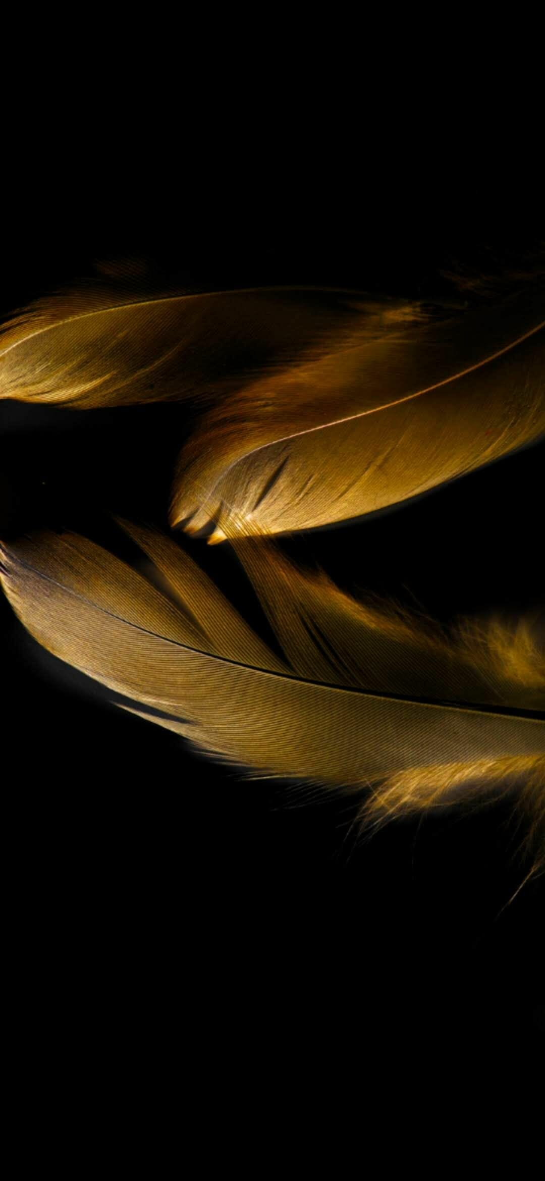 1080x2340  mate 20 Pro Обои сплетены: R / Galaxynote8 