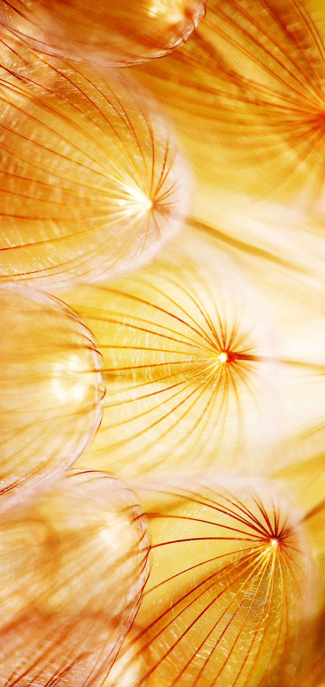 1080x2280  wallpapers huawei p20 pro - huawei p20 (# 305392) - HD обои \ u0026 Загрузка 