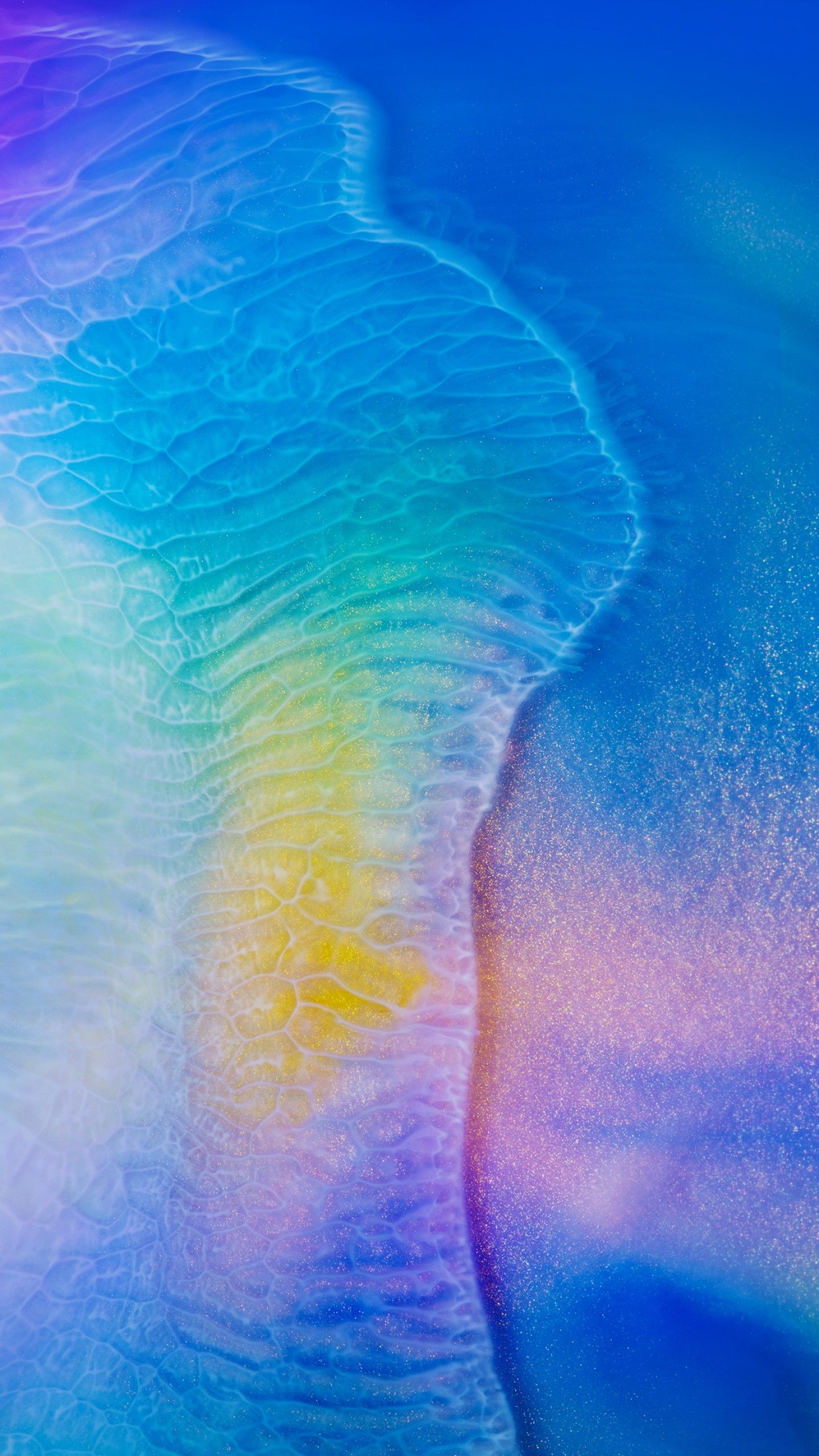 1440x2560  huawei P20 Pro Абстрактные акции Обои HD 1080x2160 | Traxzee