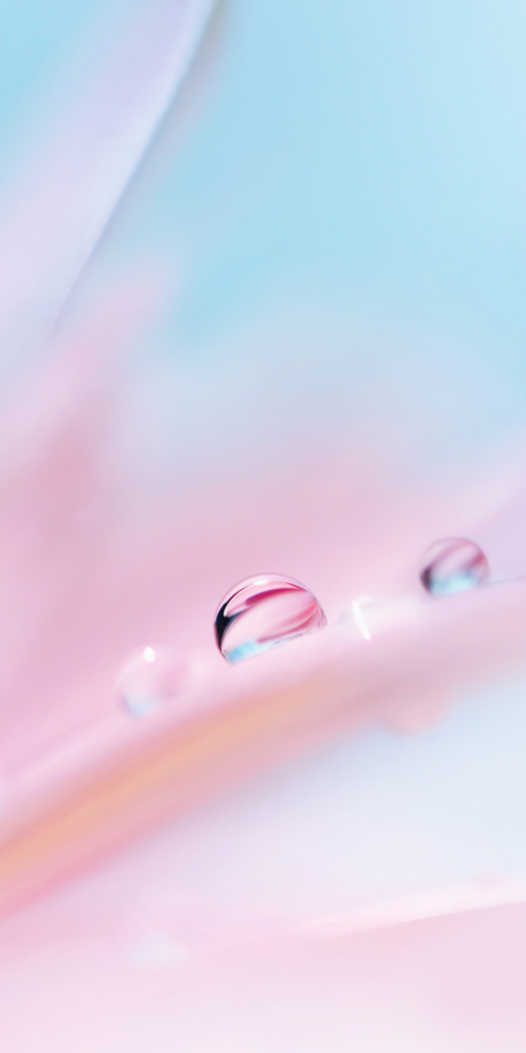 1080x2160  Huawei P20 Lite Wallpapers - Топ бесплатно Huawei P2 Lite Фоны - WallpaperAccess