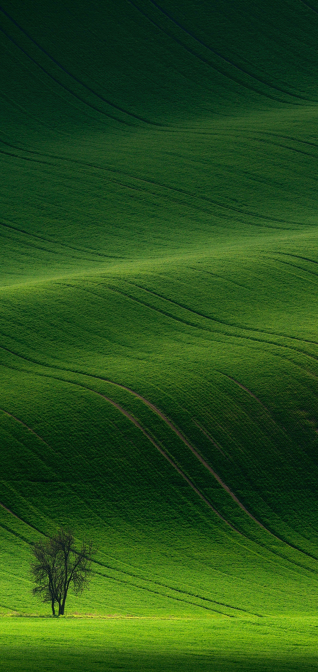 1080x2280   Huawei P20 облегчает обои 1 | Ar droiding