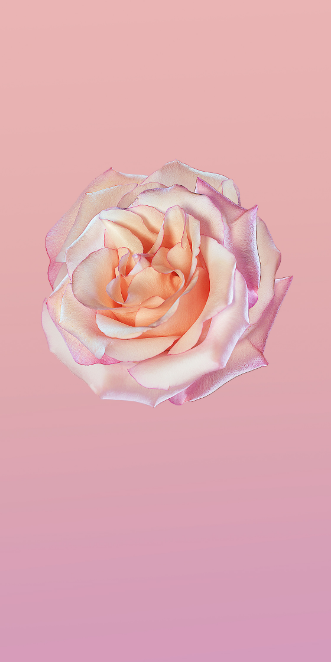 1080x2160  Huawei P20 Lite, Фокус, Свет, HD на мобильном Обои | Peakpx