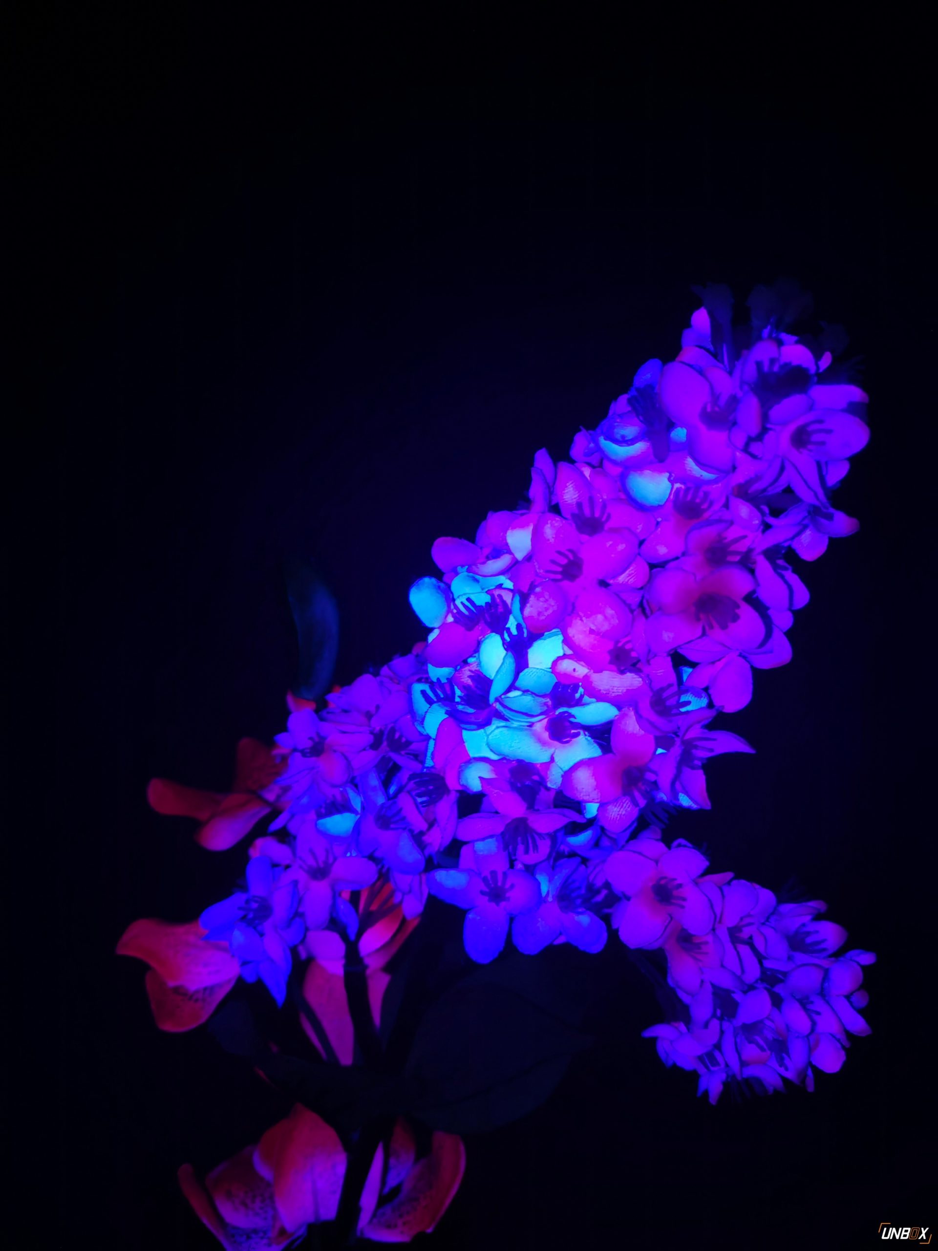 1920x2560  Huawei P50 Pocket в Bildernn | Netzwelt