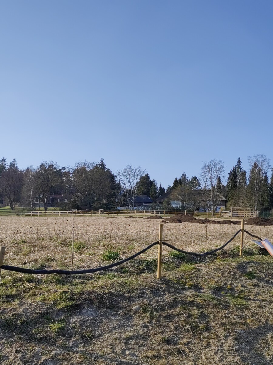 900x1200  download Xiaomi Miui 13 Обои [Ссылка] - Huawei Central