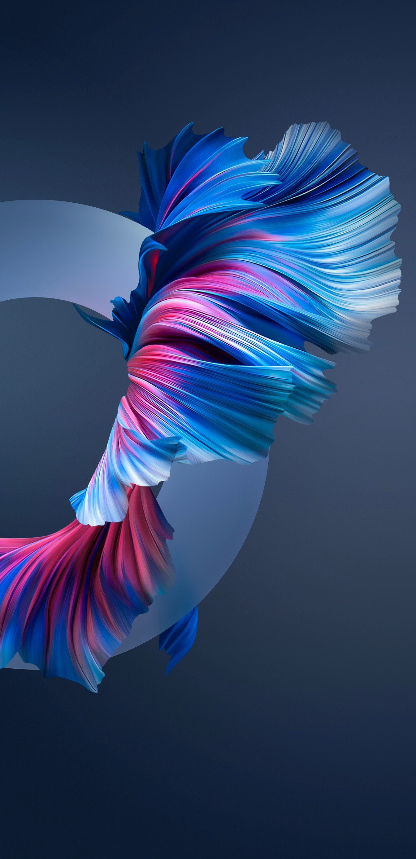 1344x2772   ✓ [2860+] Huawei P40 Pro Обои - Android / iPhone HD Обои фона Скачать обои HD (Фон на рабочем столе / Android / iPhone) (1080p, 4k) (1080x2376) (2022) 