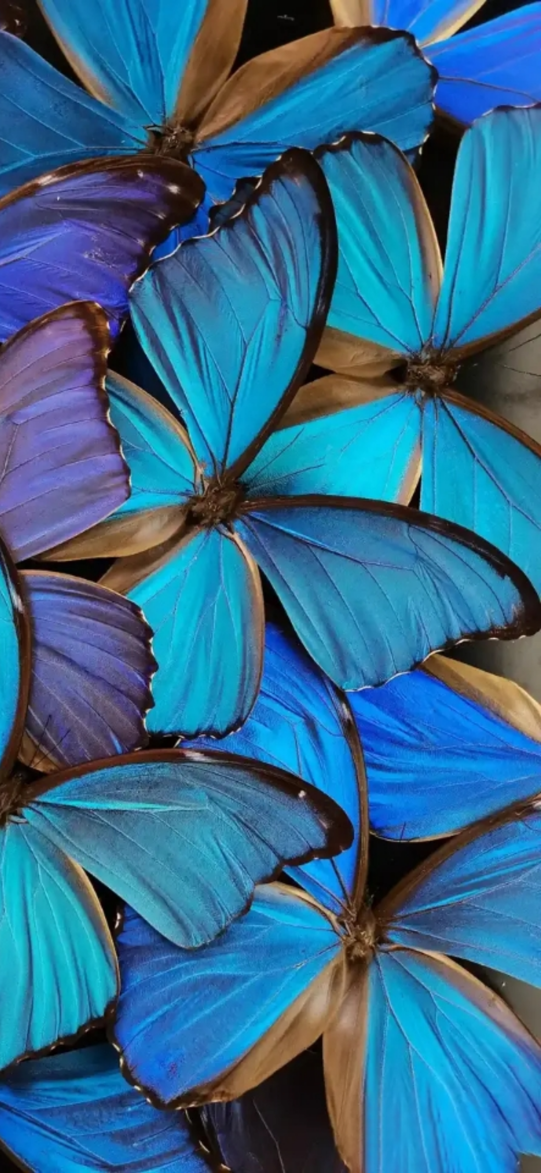 1080x2340  _download huawei p40 pro wallpapers [Официальные фоны] 