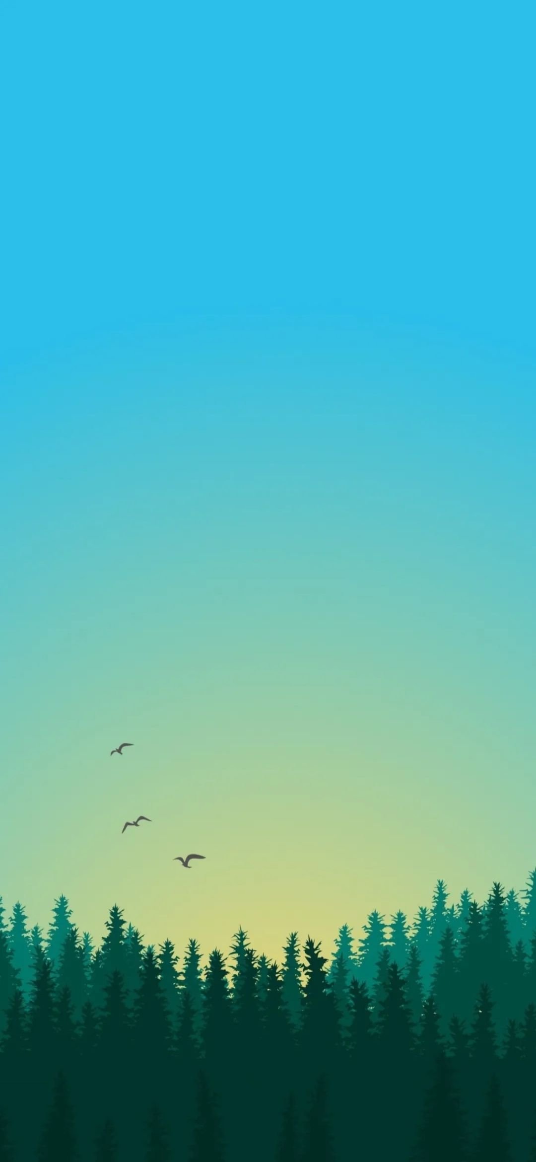 1080x2340   Huawei P40 HD-обои - Top Free Huawei P40 HD-фоны - WallpaperAccess