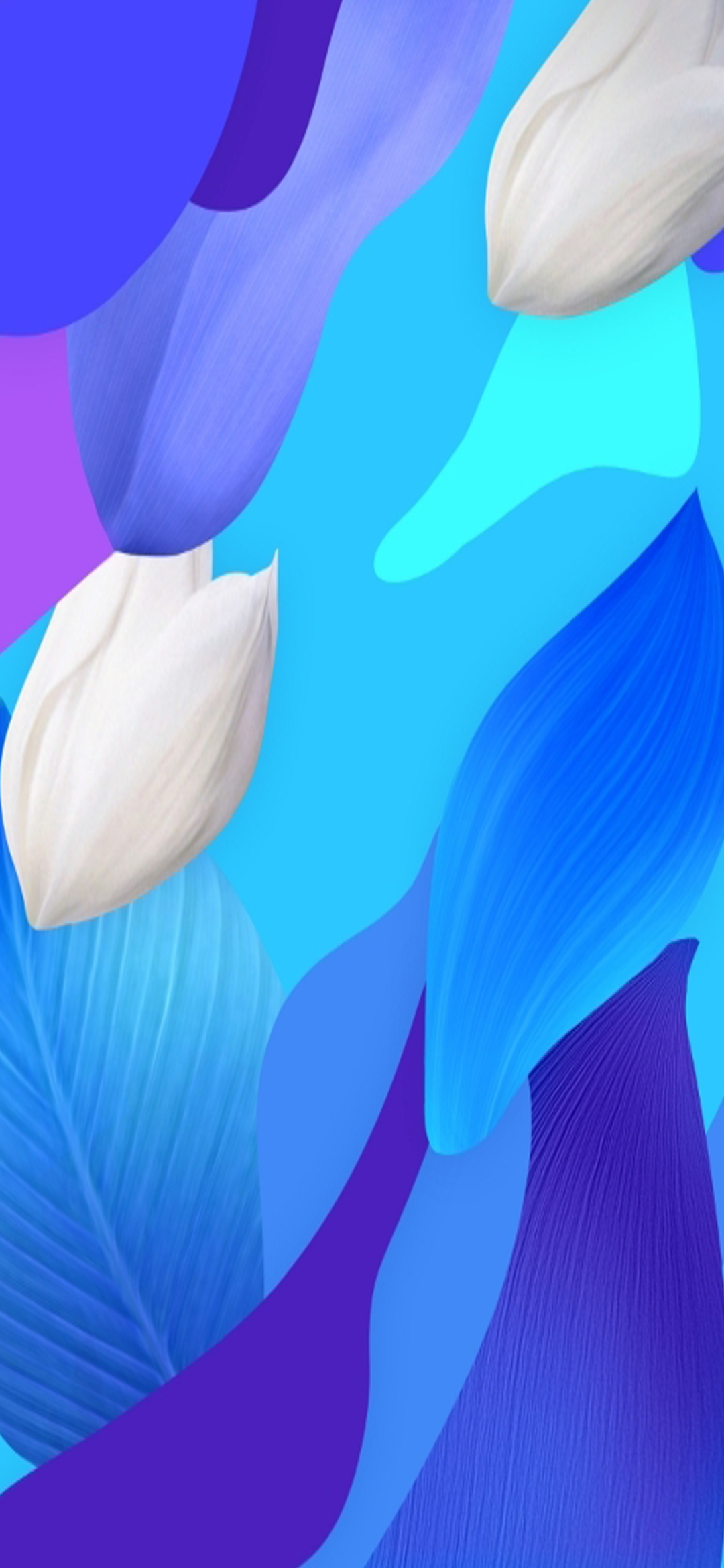 1080x2340  huawei Nova 5T Обои - Топ-бесплатный Huawei Nova 5T Фон - WallpaperAccess