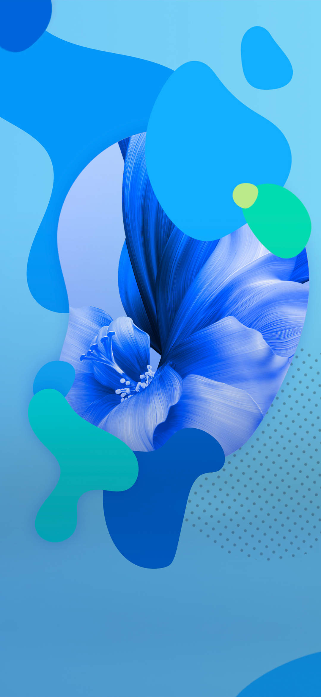 1080x2340  271410 Тусклый выстрел из одного желтого цветка на темном фоне, желтый цветок в темноте, Huawei Nova 5T Screensaver HD, 1080x2340 - MOCAH HD Wallpapers