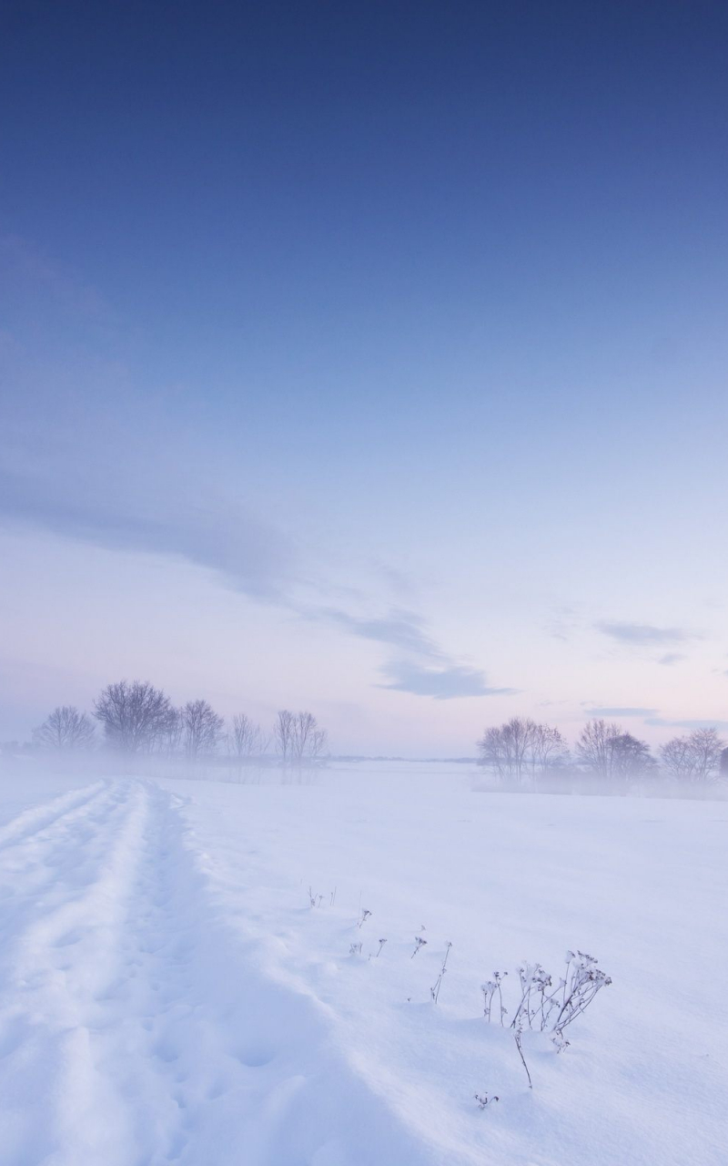 800x1280  download xiaomi miui 13 обоев [ссылка] - Huawei Central