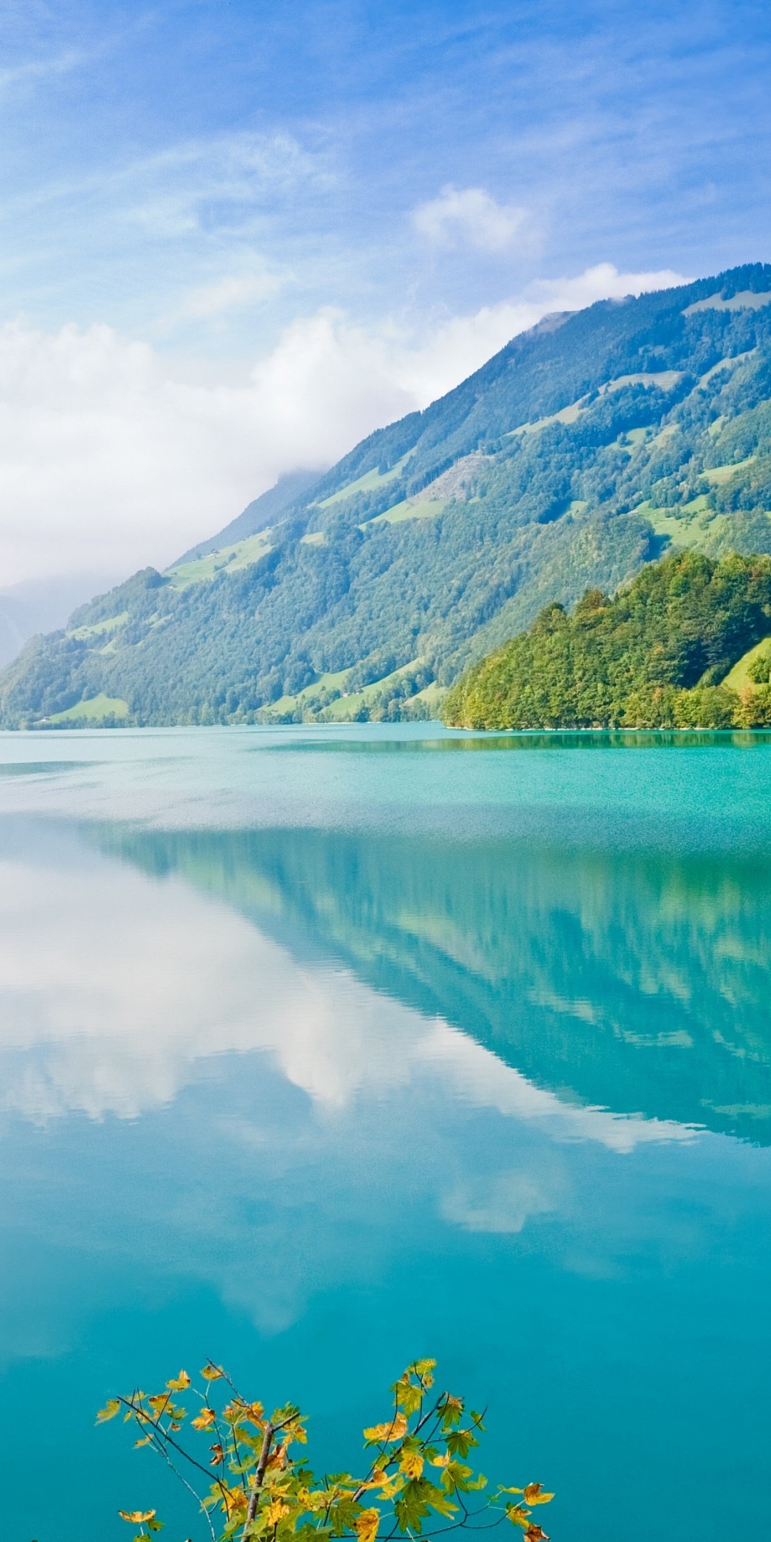 1080x2160  Huawei Mate 20 Pro для Android - APK Download