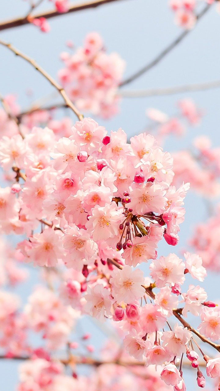 720x1280  Lee Min Ho - Lee Min Ho фото (24856361) - Fanpop