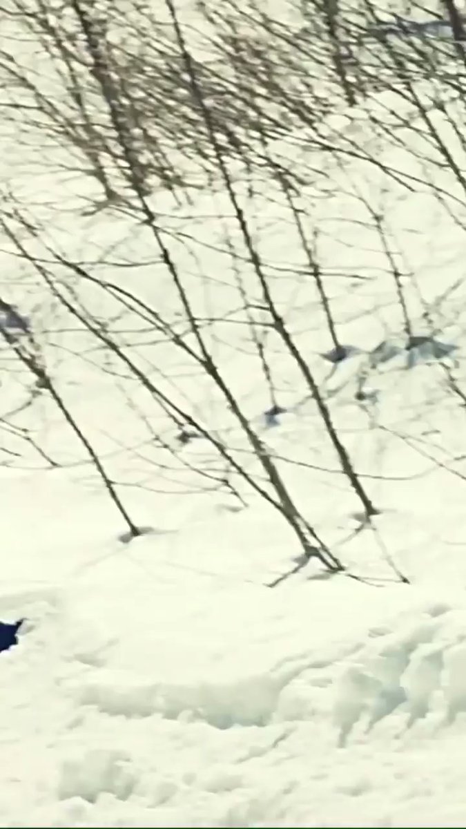 675x1200  https: //mobile.twitter.com/search? Q \ u003d% 23erkeChencikus 