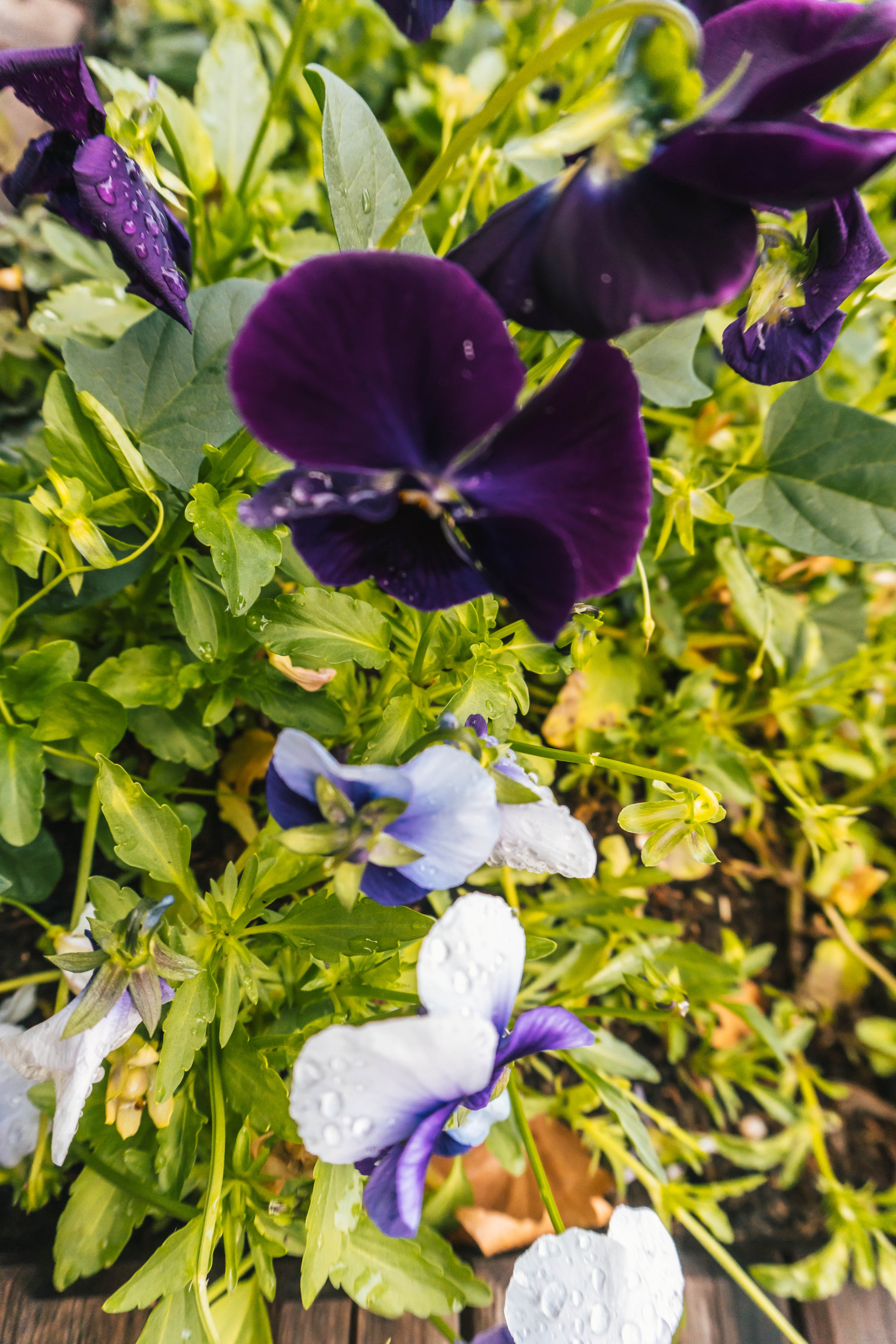 4000x6000   Reşit Kurt (@Resitkurt) | Unsplash Photo Community