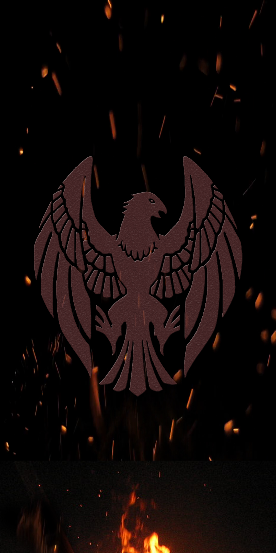 1080x2160 Black Eagles Phone Wallpaper