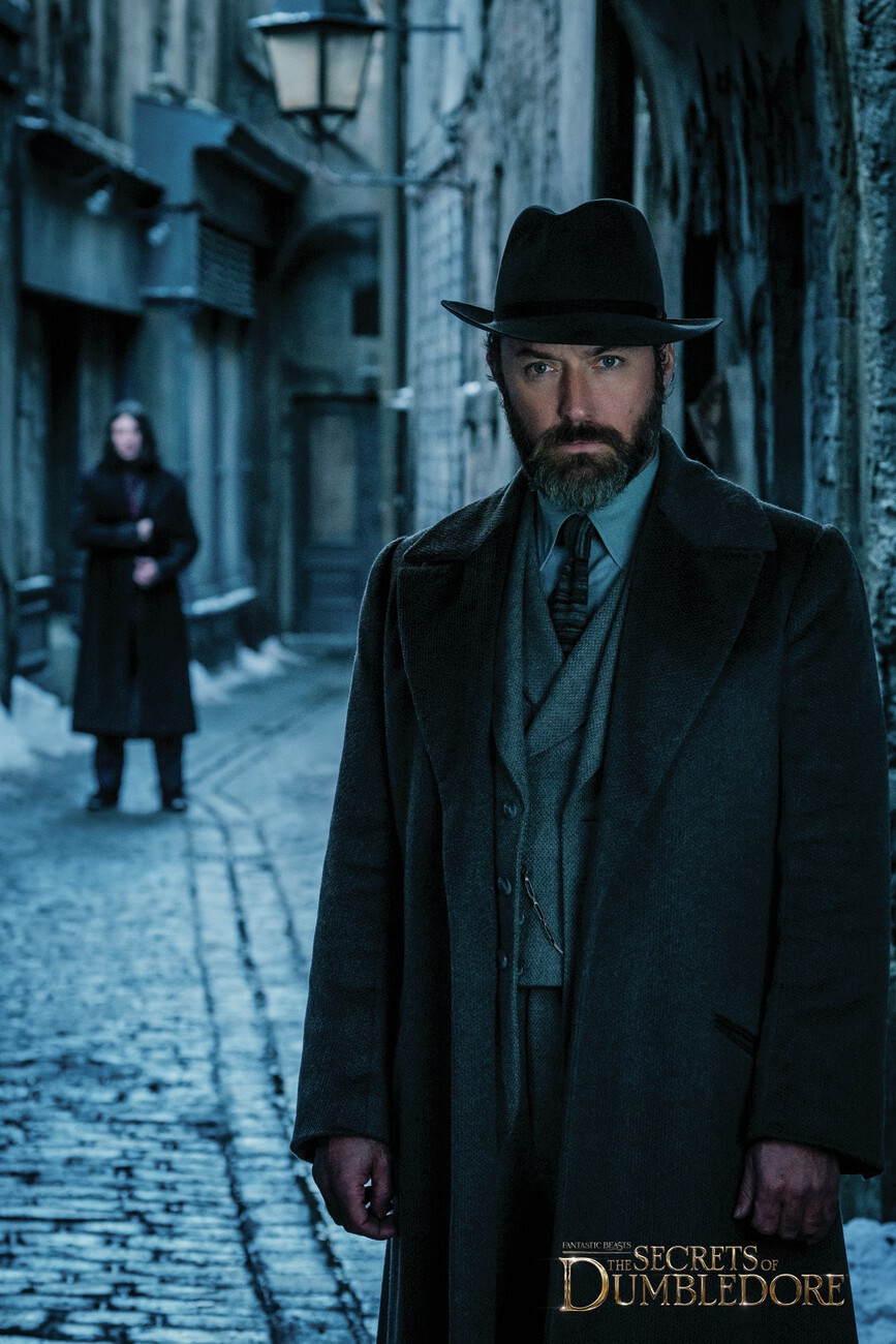 867x1300  fantastic Beasts. Секреты Дамблдора: Полный сценарий (фантастические животные, 3): Rowling, J. K., Kloves, Steve: Amaston. DE: Bücher 