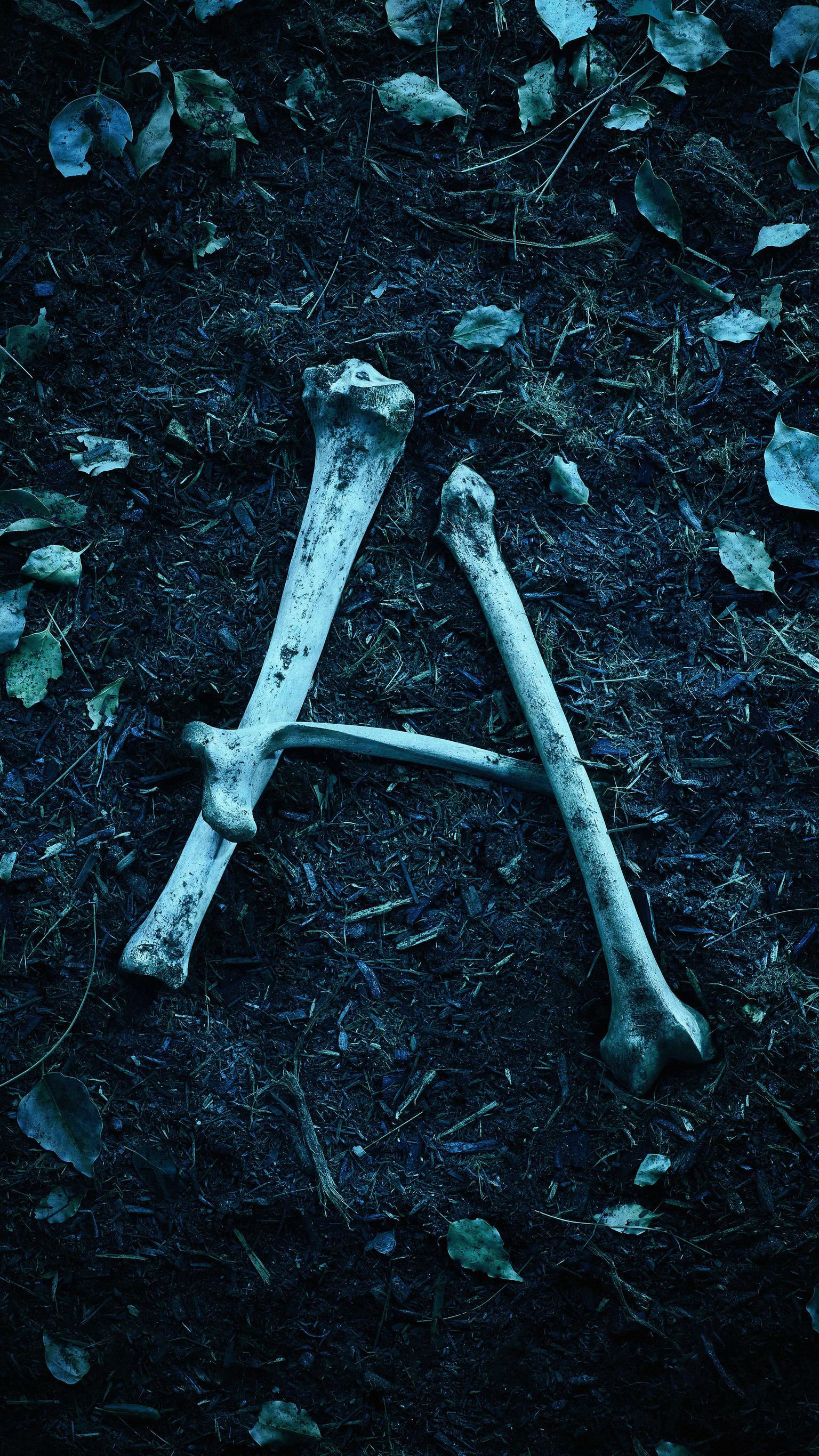 1536x2732   Ozark, Minimalista, Netflix, Red, Red, Serie, HD Mobile Wallpaper | Peakpx