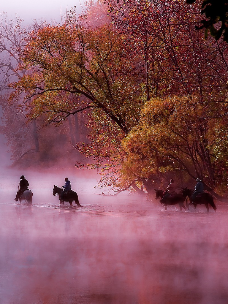 768x1024  twitch TV, логотип, фиолетовый, черный, HD Mobile Wallpaper | PEAKPX