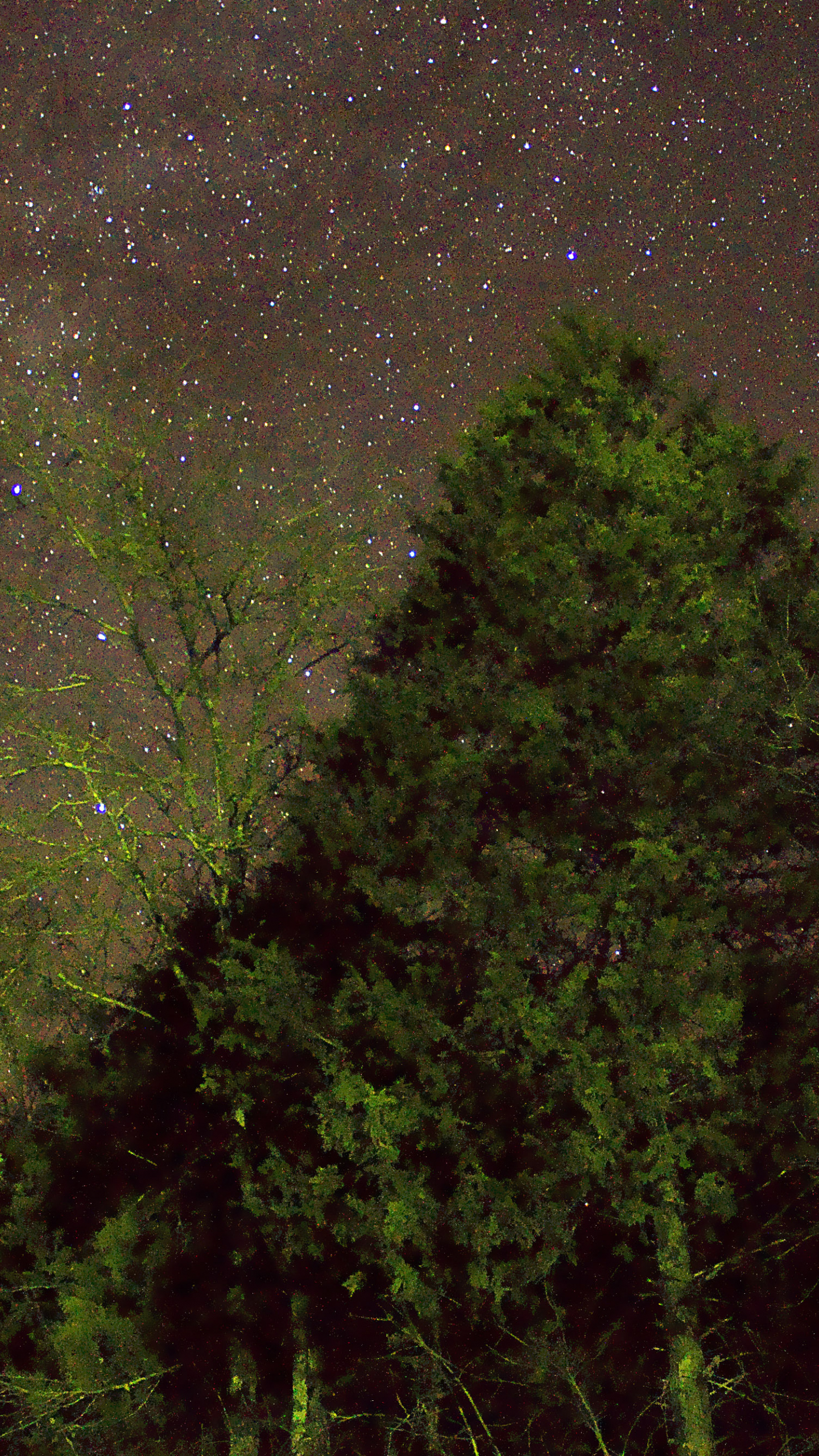 1440x2560  sons of Anarchy, Sons-of Aanarchy, телевизионные шоу, череп, логотип, HD обои | PEAKPX