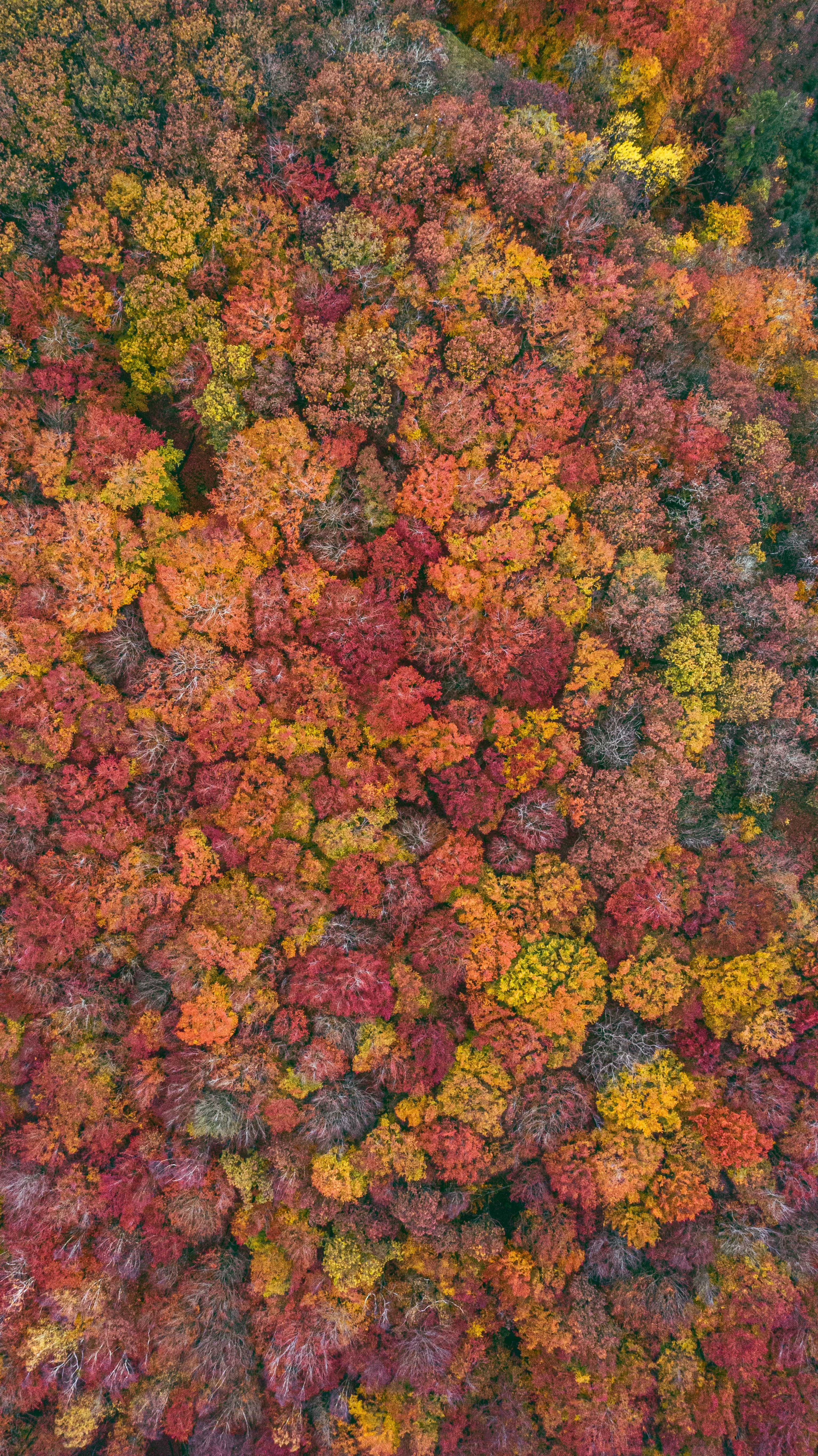 3070x5464  OZARK HENRY High Resolution Stock Photography и изображения - Alamy