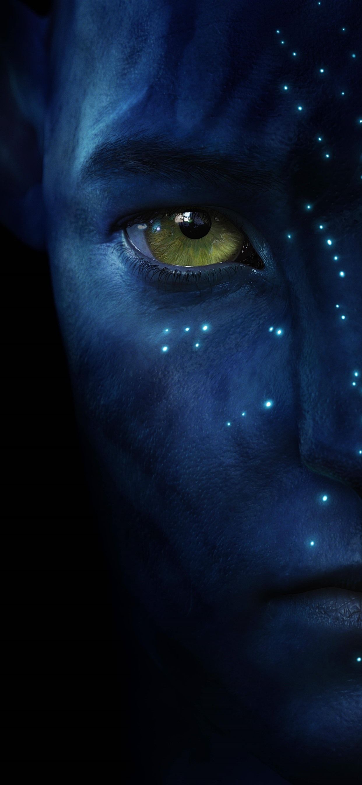 1242x2688 avatar HD Обои - Top Free Avatar HD Фаны - WalpaperAccess