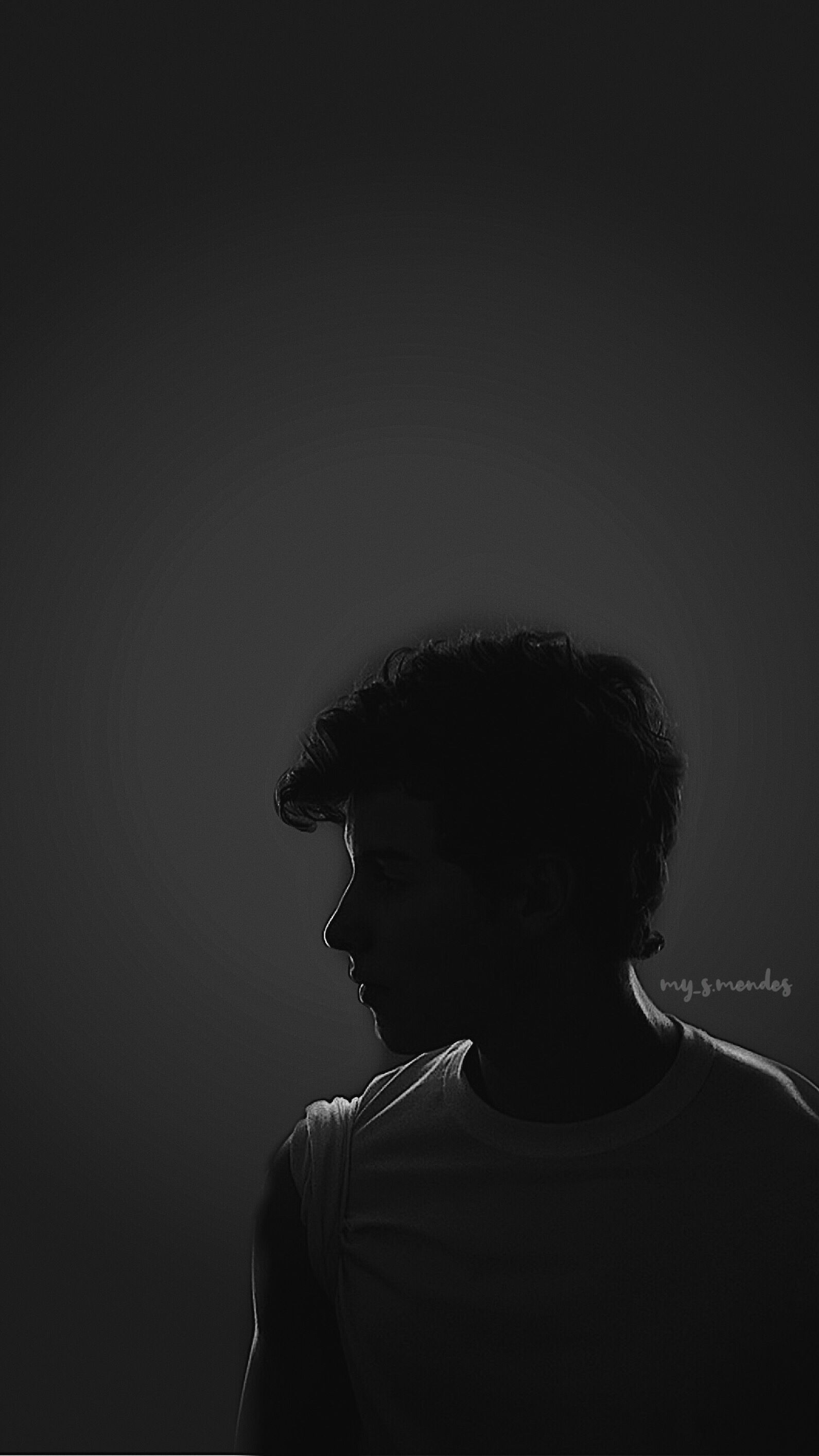 1591x2829  SHAWN MENDES Обои Ausdrucken | Etsy schweiz