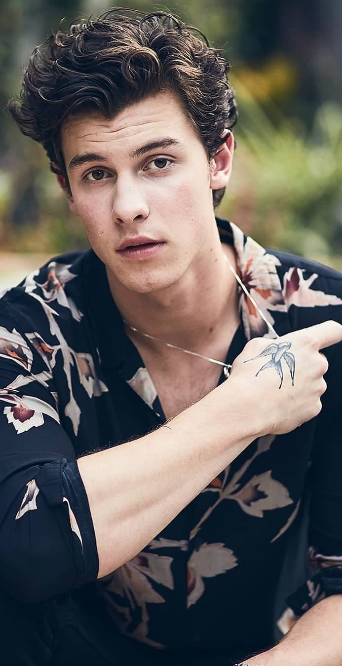 693x1350  shawn Mendes обои для Android - APK Download