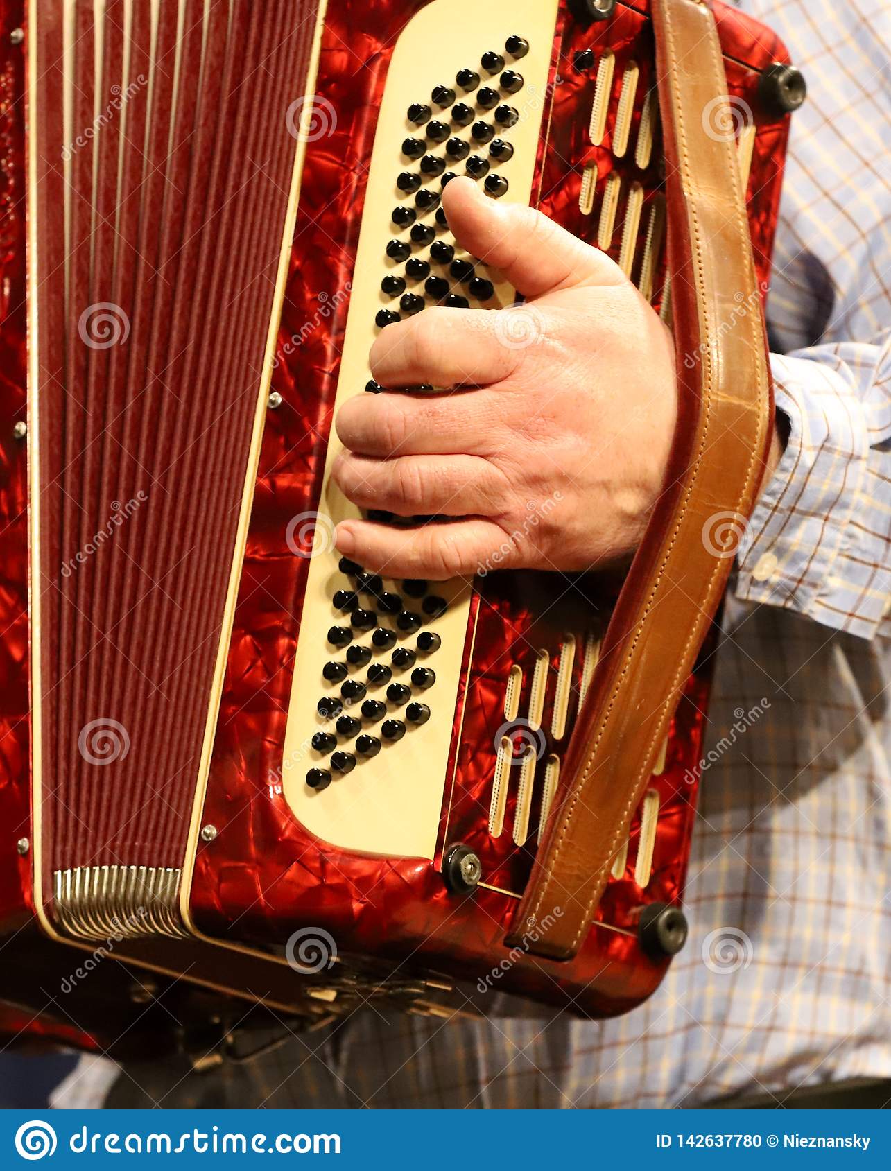 1285x1689   Человек, играющий в аккордеоне, руках Стоковое фото - Изображение рук, белое: 142637780