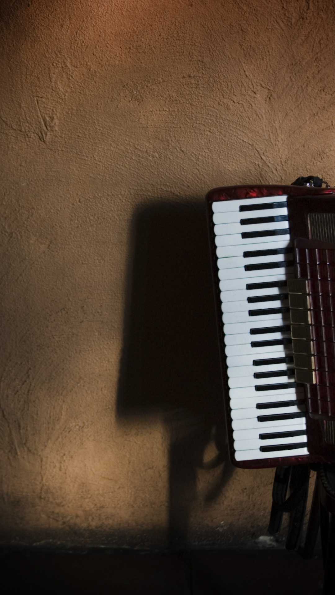 1080x1920   Download обои 800x1420 Аккордеон, музыкальный инструмент, ключ, текстура iPhone Se/5s/5c/5C/5 для PARALLAX HD hd. GOLA 414 120 BASS