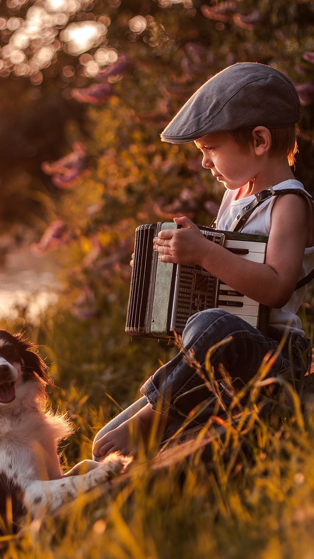 1080x1920  1536x2048 Аккордеон, девушка, поле 1536x2048 Обои для разрешения, HD Girls 4K обои, изображения, фотографии и фон - обои Den