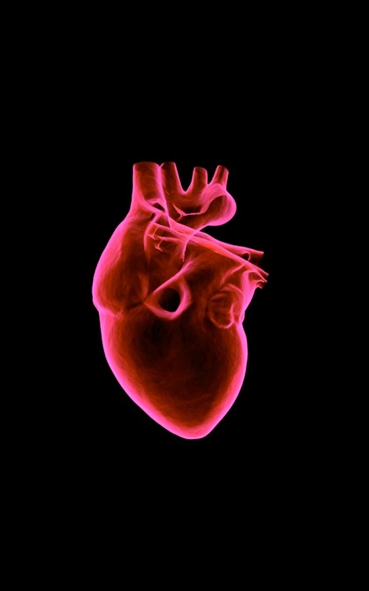 736x1177  Pipe Organ 1080p, 2K, 4K, 5K HD Обои Скачать бесплатно | Обои Flare