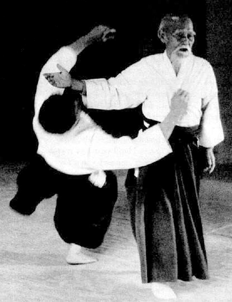800x1040  hd aikido osensei. PEACKPX