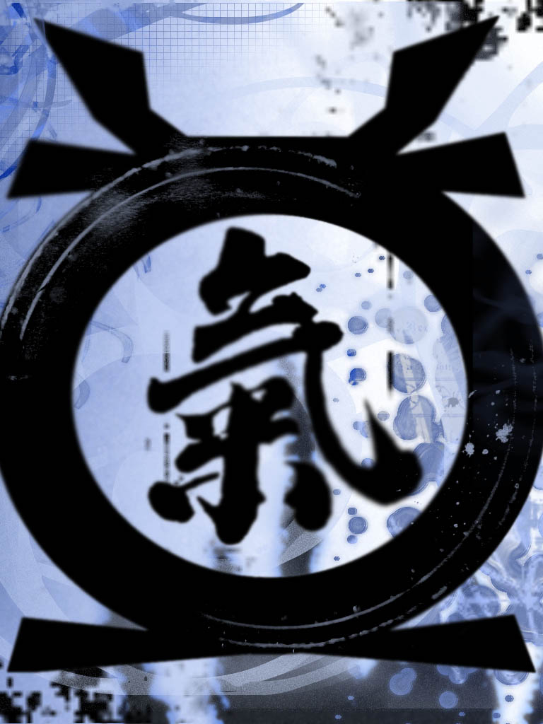 768x1024  aikido, MJ, VG, HD Телефон Обои | PEACKPX