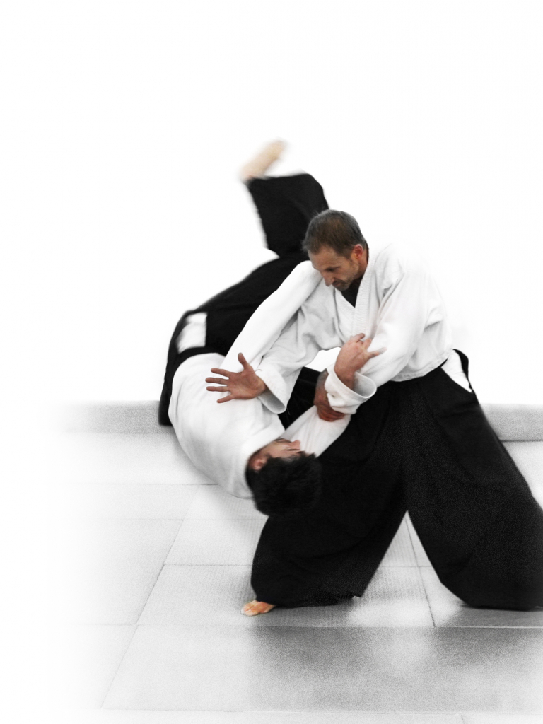 768x1024   ПИН AUF AIKIDO LOGOPE