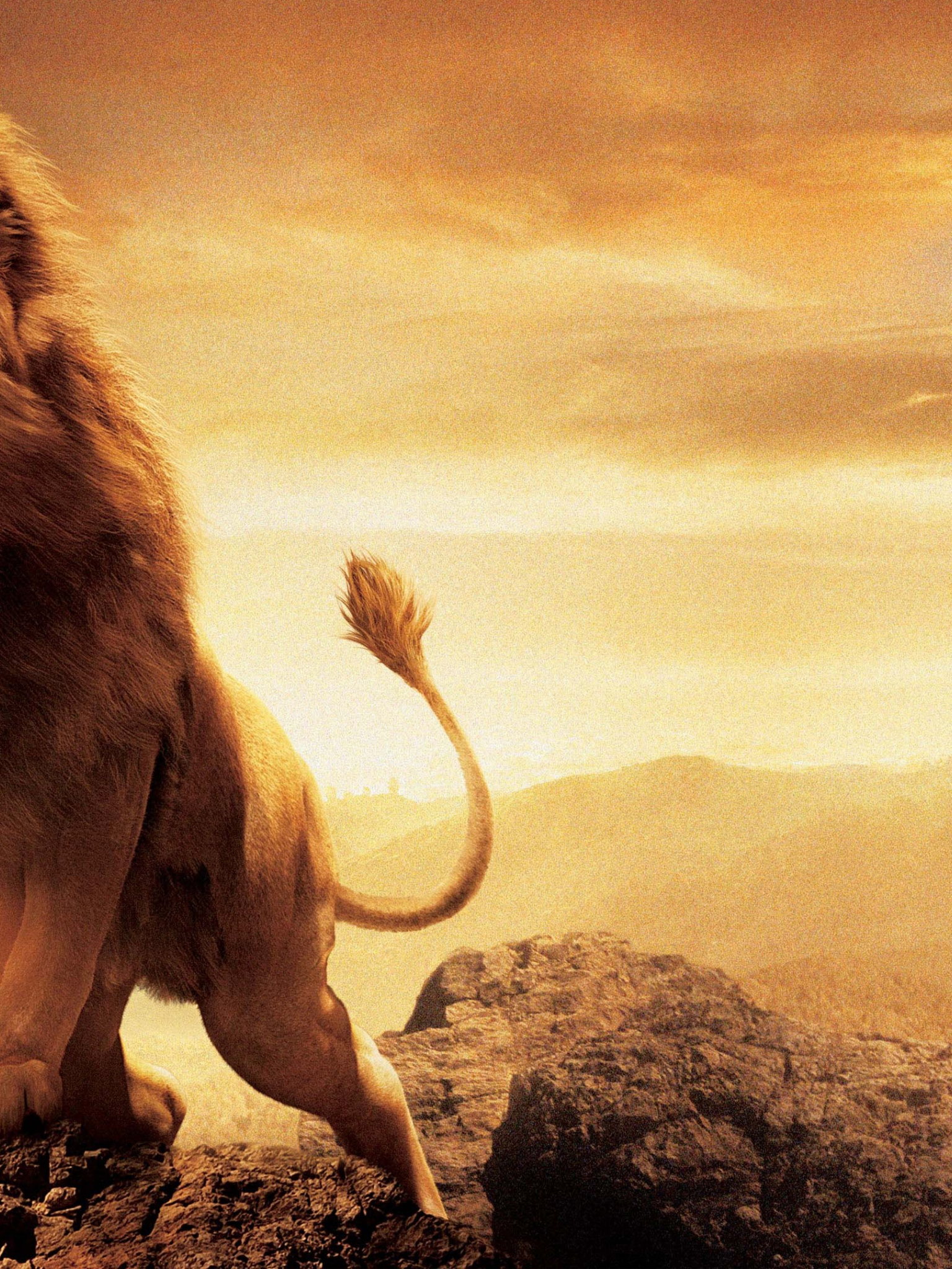 1536x2048   King Aslan, Lion, Narnia, HD Телефон Обои | Peakpx