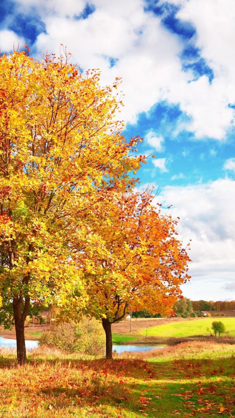 750x1334  wallpaper: Минимализм, простой фон, соляризованный Colorscheme, Palette Swap 4320x7680 - Saber83 - 1597901 - HD Обои - Wallhuere