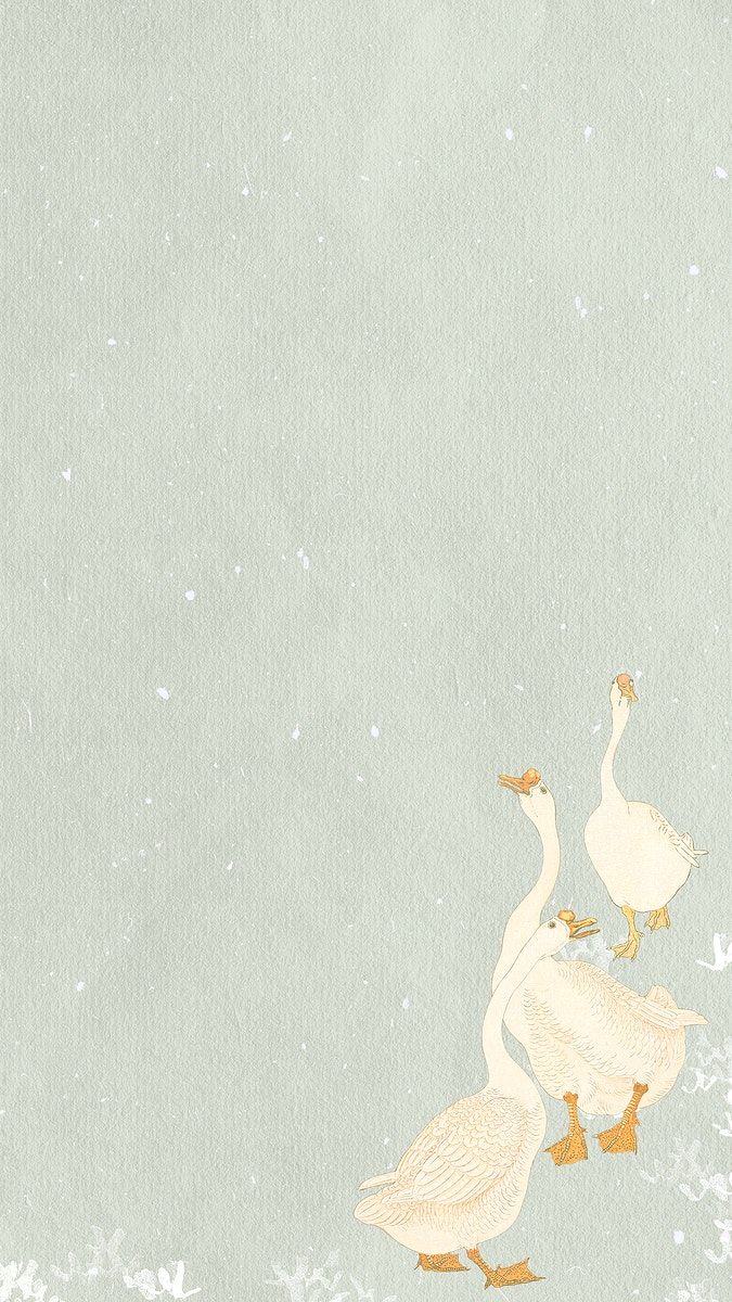 675x1200  Animals, Nature, Goose, HD Телефон Обои | PEACKPX