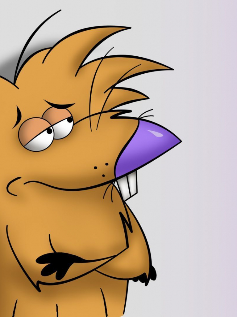 768x1024  ywning beaver обои 43410 - Baltana