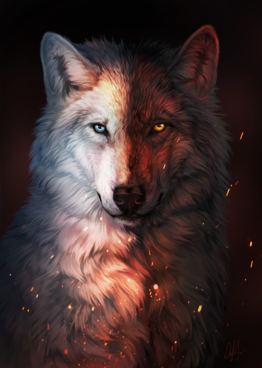 914x1280  🐺 100+ Wolf Wallpapers - HD Wolf Backgrounds для Андроид - скачать APK
