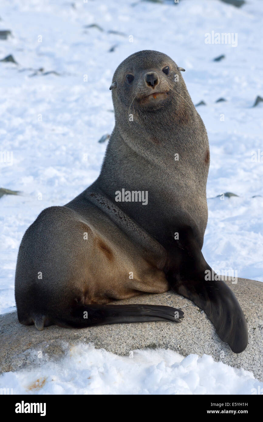 866x1390  cape, величественная подшипника, безопасные от грубых вод, уравновешивание, HD обои | Peakpx