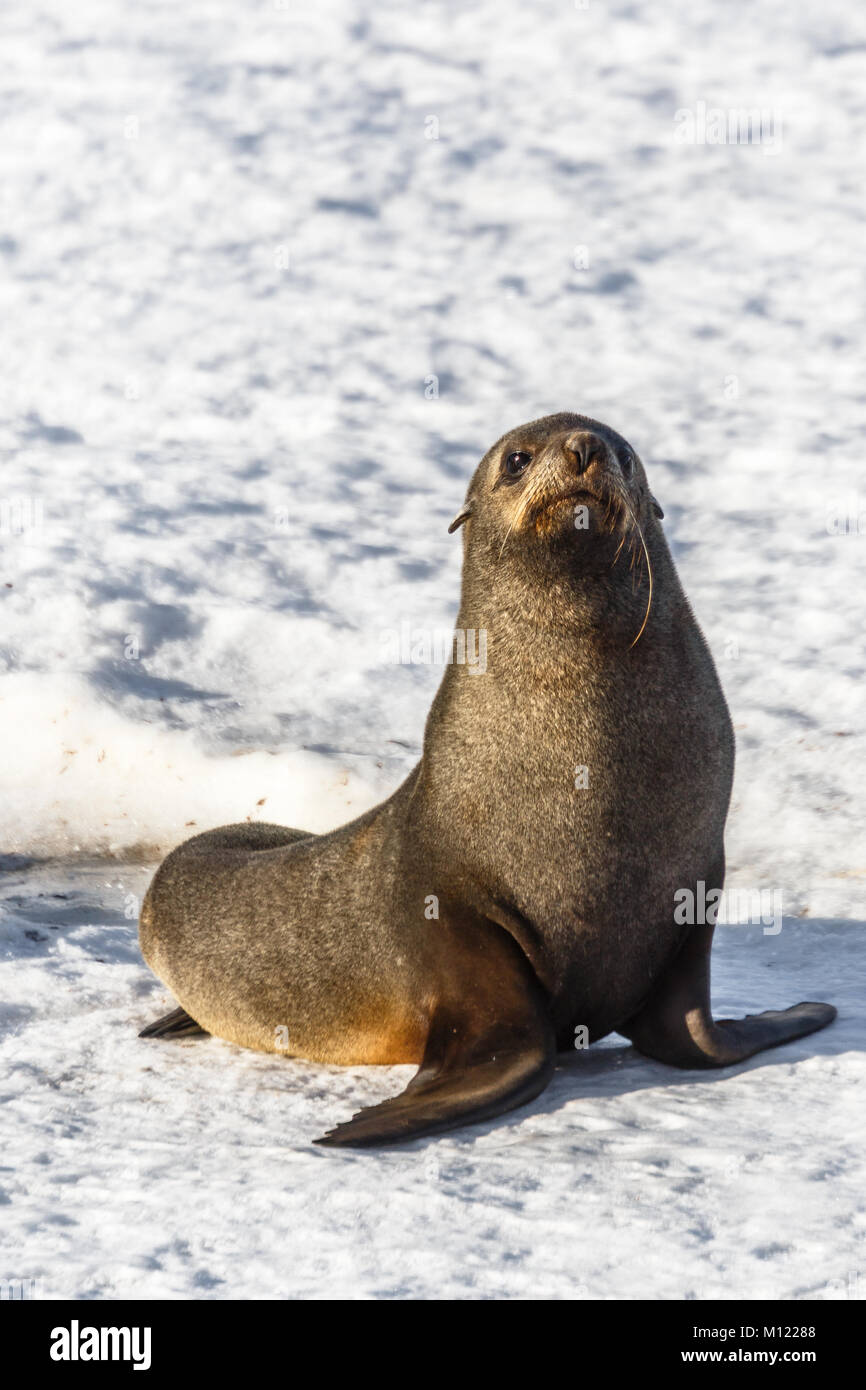 866x1390   Печать Torange.biz ~ Бесплатные фото на лицензии CC-BY 