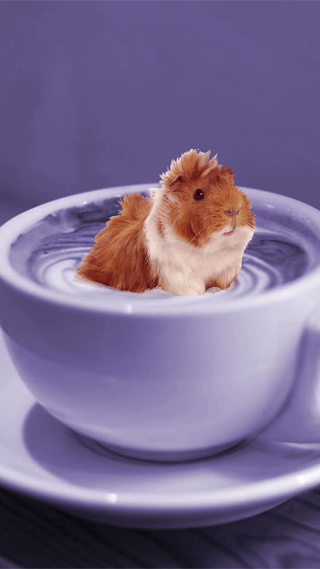 1080x1920  pin на телефонах на обоях 