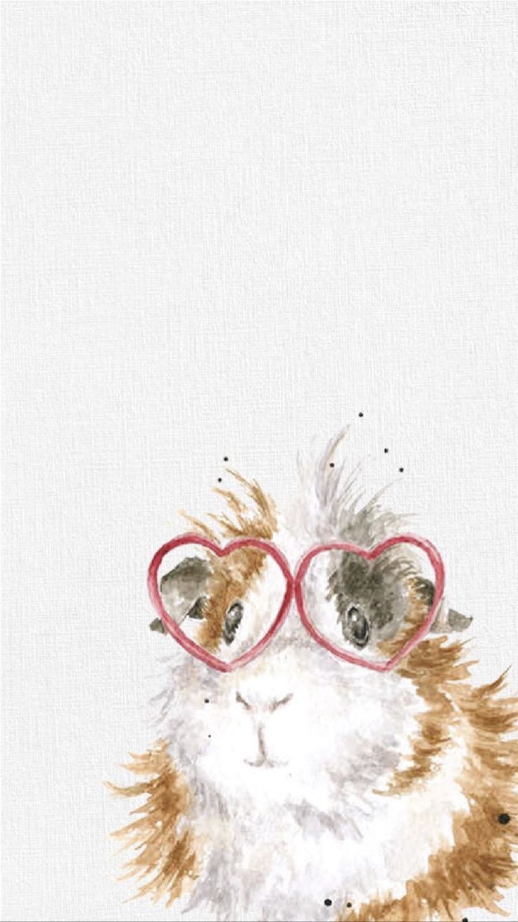 736x1309  -wallpaper guinea, pet 5120x2880 uhd 5k picture, image