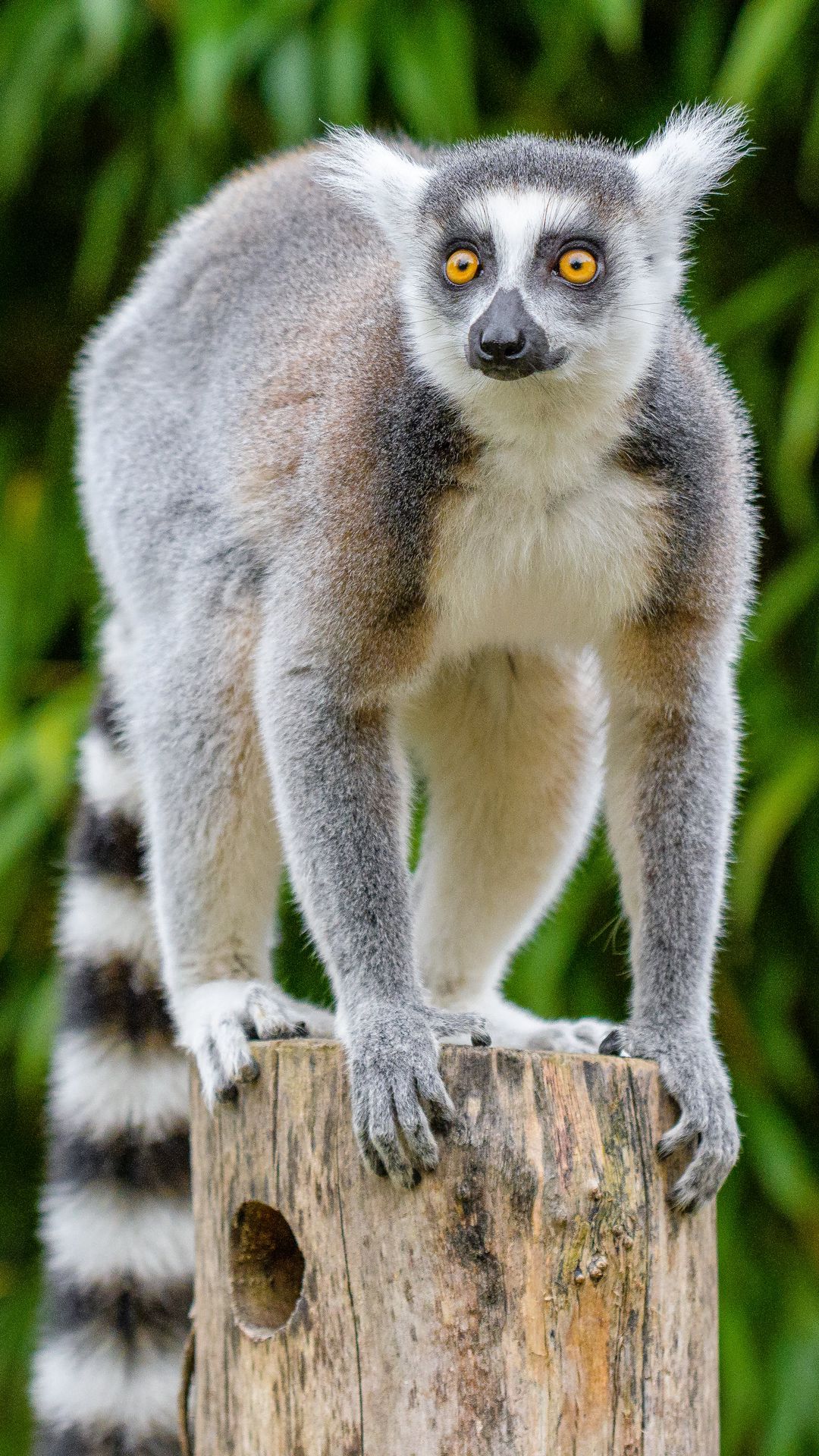 1080x1920   ádám Berkecz (@aberkecz) | Unsplash Photo Community