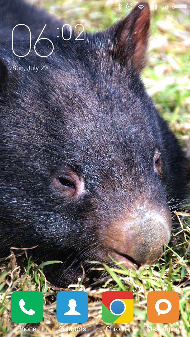 720x1280  free Скачать Hauptseite Tiere Hd Hintergrundbilder Koala обои HD [1920x1080] для вашего настольного компьютера, Mobile \ U0026 Tablet | Исследуйте 42+ HD Коала обои | Коала медведь обои для рабочего стола, детские обои коала, милый 