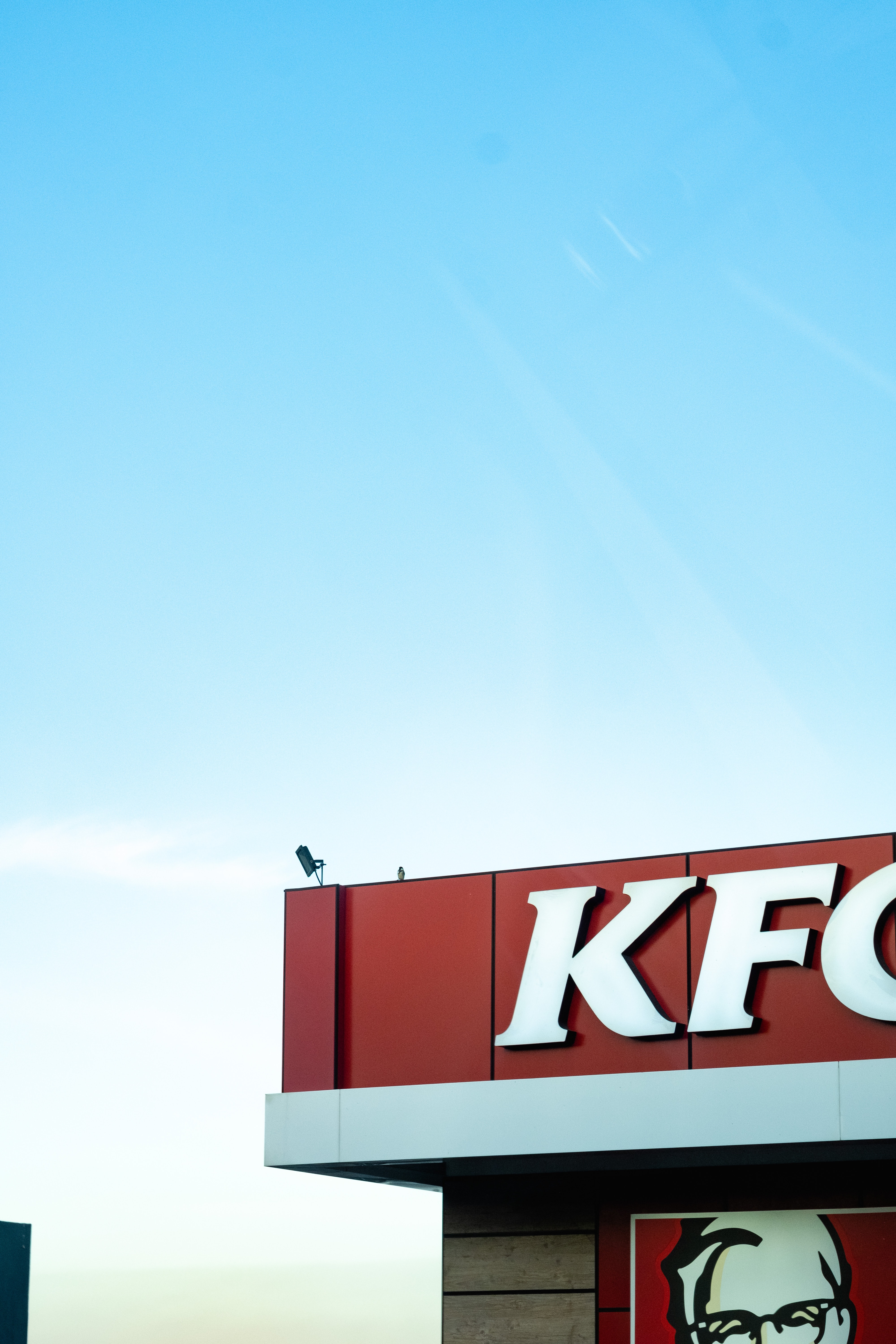 4000x6000  FREE скачать KFC HD Wallpapers [1920x1080] для вашего рабочего стола, Mobile \ U0026 Tablet | Исследуйте 94+ жареных куриных обоев | Жареные куриные обои, жареные куриные обои, куриные обои 