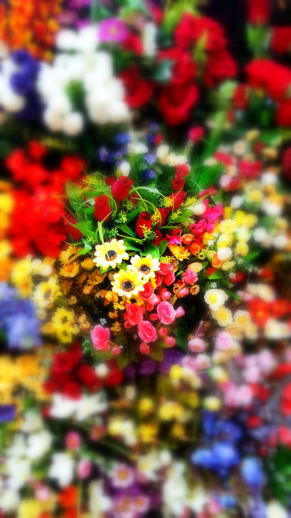 Найти красивые цветы на заставку телефона бесплатно