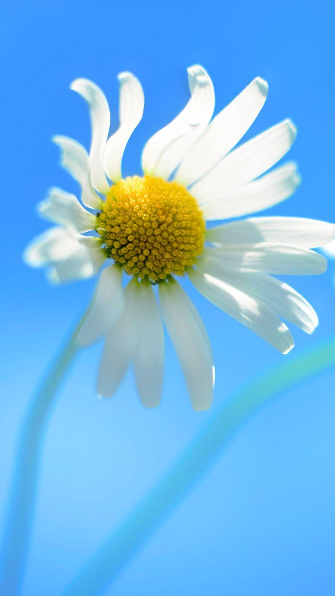 1080x1920   ✓ [80+]. · Thank you - Android / iPhone HD  Wallpaper Background Download (png / jpg) (2022)